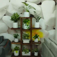 استند گل ۱۰ طبقه