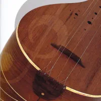 آموزش سه تار توسط مدرس خانم