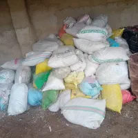 کود کبوتر همه ۱۲ ماه سال موجود