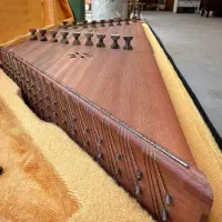 آموزش و تدریس سنتور توسط کارشناس موسیقی