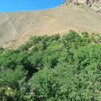 باغ ویلا ییلاقی در منطقه کوهستانی .
