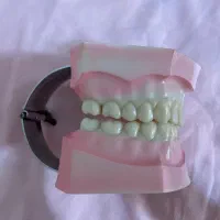 مولاژ دندان سایز بزرگ