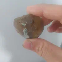 سنگ شجر خام|کلکسیون اشیاء عتیقه|قروه, |دیوار