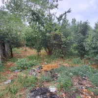 230-متر-زمین-کاملامسکونی-بدون-نیاز-به-تغییر-کاربری