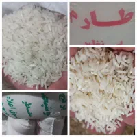 جشنواره  برنج خوشپخت  شر‌وع شد