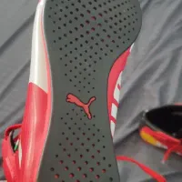 کتونی اتوموبیل رانی اورجینال پا نخورده|کیف، کفش، کمربند|لنگرود, |دیوار