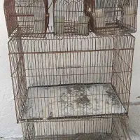 سهره