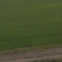 زمین مزروعی