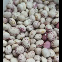 خریدوفروش  حبوبات وخشکبار