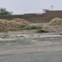 زمین فروشی شهرستان کاشمر - اول روستای زنده جان|فروش زمین و ملک کلنگی|کاشمر, |دیوار