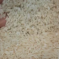 برنج هاشمی اعلاودرجه یک|خوردنی و آشامیدنی|رشت, پل تالشان|دیوار