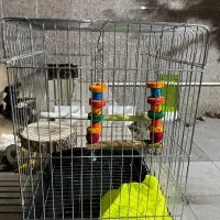 قفس|لوازم جانبی حیوانات|تهران, شهرآرا|دیوار