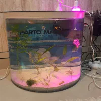 آکواریوم نیم دایره با تجهیزات