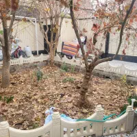 حیاط-اختصاصی