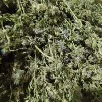 یونجه|لوازم جانبی حیوانات|رشت, لاکان|دیوار