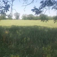 باغ حاصلخیر واقع در عجبشیرمتراژ۷۶۰۰ روستای ششوان|فروش دفتر صنعتی، کشاورزی، تجاری|عجب شیر, |دیوار