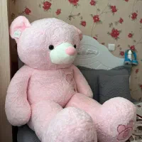 شاسخین صورتی