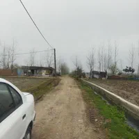 فروش زمین ۱۰۰۰ متری در سیاه اسطلخ|فروش زمین و ملک کلنگی|رشت, سیا اسطلخ|دیوار