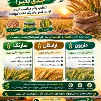 فروش بذر گندم اصلاح‌شده داریون، آزادگان و سارنگ