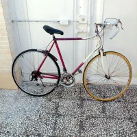 دوچرخه‌کورسی‌اصل