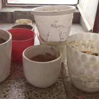 گلدان خالی فروشی سرامیکی