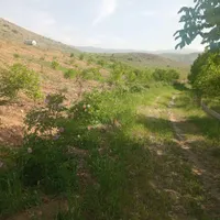 باغ با بهترین موقعیت مکانی زیر پارک رضوان آشخانه|فروش زمین و ملک کلنگی|آشخانه, |دیوار