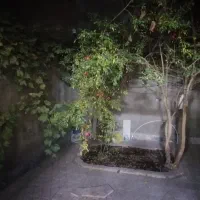 آپارتمان همکف 110 متری|اجارهٔ آپارتمان|مشهد, ولیعصر (شهرک غرب)|دیوار