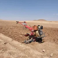 تیلر زنی مزارع زعفران