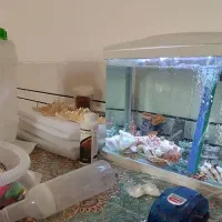 آکواریوم ماهیران مدل M-22|ماهی|تیران, |دیوار