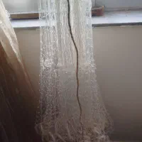 تور ماهیگیری سالی