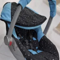 کریر دلیجان