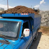 فروش. کود. دامی