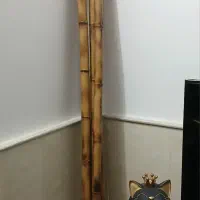 نی های بامبوی زیبای دکور