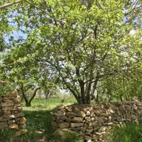 فروش باغ|فروش زمین و ملک کلنگی|سمیرم, |دیوار