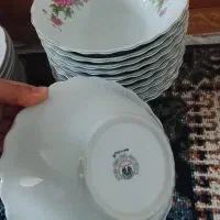 گل سرخ قدیمی|کلکسیون اشیاء عتیقه|سبزوار, شرق کال میانی|دیوار