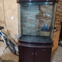 اکواریوم|ماهی|شیروان (خراسان), |دیوار