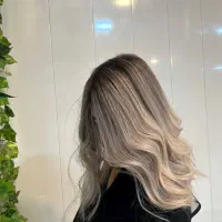 دستیار رنگ و کارآموزی