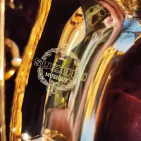 ساکسیفون ، سوزوکی|سازهای بادی|تهران, حکیمیه|دیوار