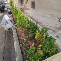 انجام کلیه کارهای باغبانی و سم پاشی و تیلر زدن