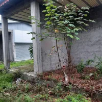 مغازه شمال استان گیلان|فروش مغازه و غرفه|کیاشهر, |دیوار