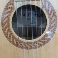 گیتار دست دوم در حد نو|گیتار، بیس، امپلیفایر|رودان, |دیوار