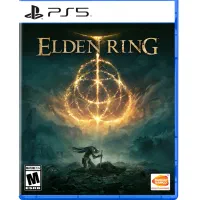 دیسک کارکرده الدن رینگ