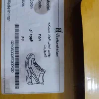 کفش نو|کیف، کفش، کمربند|بندرعباس, |دیوار