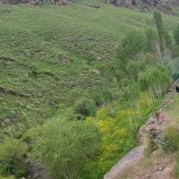 خانه ویلایی بیستم