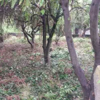 فروش-زمین-در-شمال