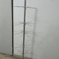 رگال گردون