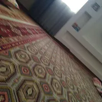 دوچرخه مشگی گم شده