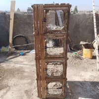 جفت کن کفتر|لوازم جانبی حیوانات|زارچ, |دیوار