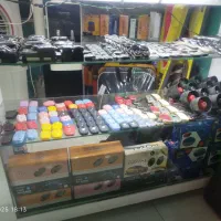 دزدگیر