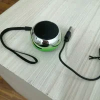 اسپیکر همراه